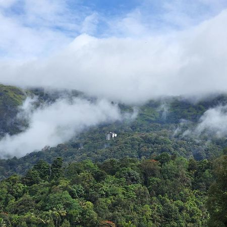 Cherry Blossom Homestays Munnar 2Bhk Buitenkant foto